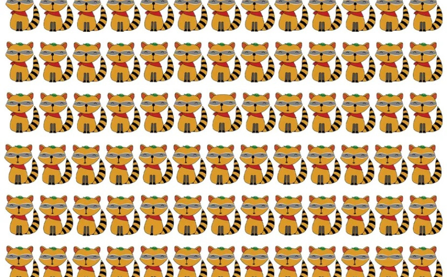 Samo najuporniji uspijevaju: Pronađite tri rakuna koji se razlikuju