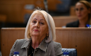 Borjana Krišto:" Politikanstvo blokiralo otvaranje Gradiške, šteta za BiH ogromna"