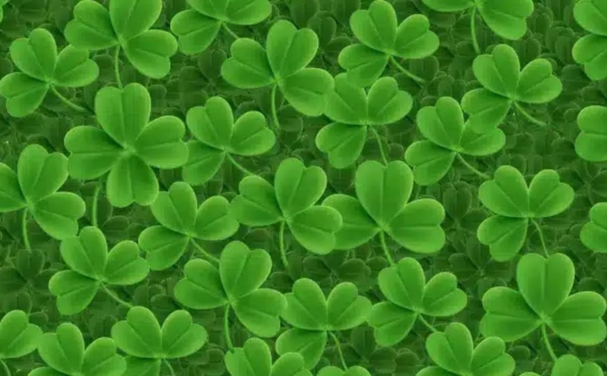 Imate li "oko sokolovo"? Pronađite djetelinu s četiri lista za manje od pet sekundi