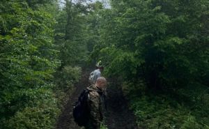 Uznemirujuće otkriće u šumi pored Olova: Policija pokrenula istragu