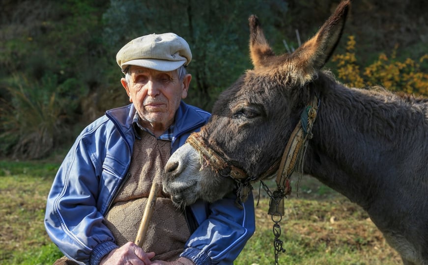 Inspirativna priča iz Turske: Slijepi djed Raif već 24 godine se kreće zahvaljujući svom magarcu