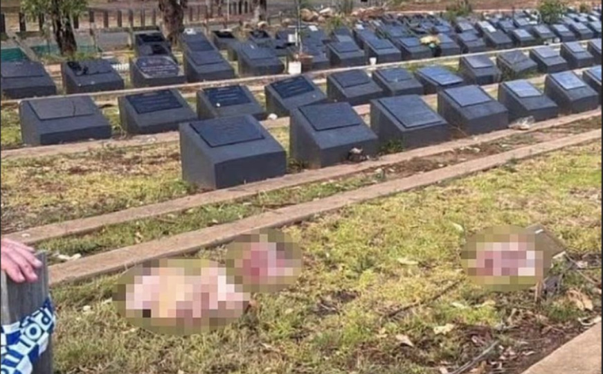 Sramotno: Dan nakon masakra u Sidneyu na muslimansko groblje bačene svinjske glave