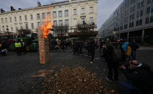 Nevjerovatne scene iz Brisela nakon protesta poljoprivrednika: Ulice zatrpane krompirom