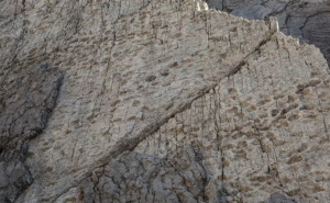 Zapanjujuće otkriće na sjeveru Italije: Hiljade otisaka dinosaurusa starih 210 miliona godina