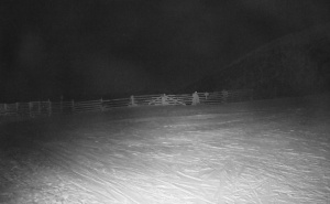 Akcija spašavanja na Bjelašnici: Spasioci tragaju za više osoba koje su se izgubile