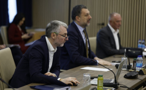 Vijeće ministara BiH usvojilo sporazum: Bh. vozačke dozvole uskoro priznate i u UAE