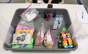 Na sarajevskom aerodromu zaplijenjena veća količina psihoaktivnih supstacni: Uhapšena djevojka (23)