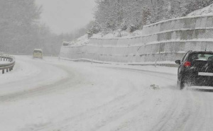 Nesreća u sarajevskom naselju Šip, saznajte gdje je obustavljen saobraćaj zbog oborenog stabla