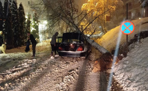 Problemi na cestama: Stablo palo na automobil u Goraždu