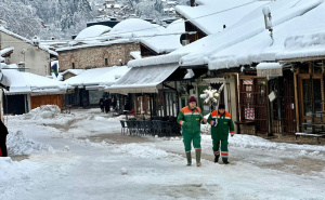 Provjerili smo: Za cijenu jednog ministarskog vozila moguće je kupiti 1.600 ručnih grtalica