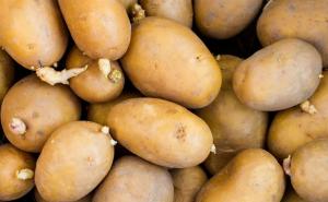 Gdje (ne) držati krompir u kuhinji: Ovo su savjeti stručnjaka