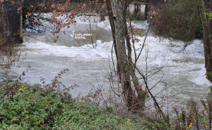 Izlio se Trebižat iz korita u Čapljini: Poplavili stambeni objekti, vatrogasci na terenu