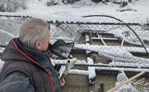 Jedna noć odnijela godine rada: Poplava uništila ribnjak porodice Delić kod Goražda