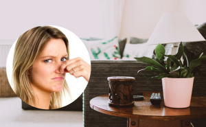 Prirodan način za uklanjanje neugodnih mirisa u domu: Posuda ovog preparata je najbolji saveznik