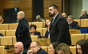 Nakon burne rasprave, Zakon o pravima porodilja ipak na dnevnom redu Predstavničkog doma