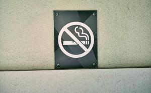 Zabrana pušenja u RS na čekanju: Ana Trišić Babić zakon vratila u ponovnu proceduru