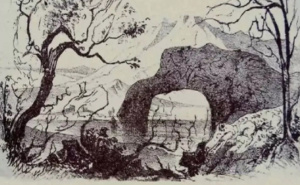 Samo za one sa visokim IQ-om: Možete li pronaći sve životinje za 10 sekundi?