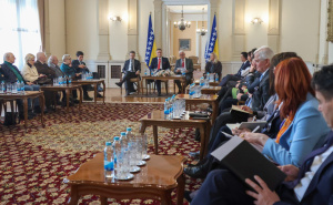 Denis Bećirović: "Energetska stabilnost ključna za stabilnost BiH"