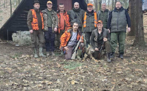 Akcija na sjeveru BiH: Lovci ustrijelili vuka u naselju