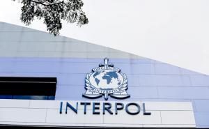 Zloupotreba sistema: Kako Rusija preko Interpola lovi političke protivnike širom svijeta