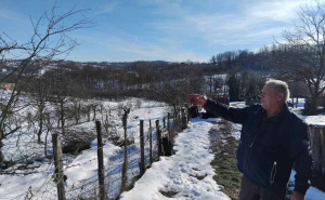 "Više nema smisla sijati kukuruz": Poljoprivrednici u BiH očajni zbog divljači