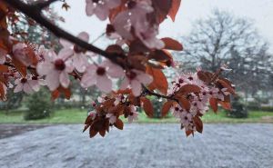 Danas je počeo hamsin: Pogledajte kada udara prvo džemre, a kada preostala dva