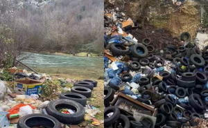 Alarm u Stocu: "Ovo više nije upozorenje, već ekološka bomba"