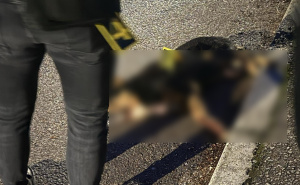 Slučaj koji je šokirao BiH: Uhapšen muškarac - iz vatrenog oružja ubio jednog psa, a drugog ranio