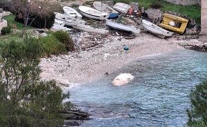 Stravičan prizor na hrvatskom otoku: More izbacilo sisavca dugog 6 metara u raspadnutom stanju