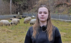 Svaka čast: Ajla je željela imati jednu ovcu, javili se dobri ljudi i donirali joj cijelo stado