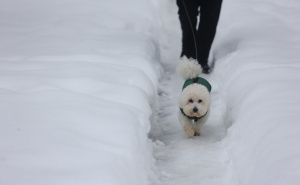 Meteorolozi objavili detaljnu prognozu do 24. februara: Novi snijeg stiže u BiH