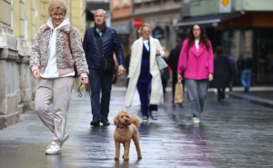 Ulice Sarajeva ponedjeljkom: Građani u šetnji sa kućnim ljubimcima koriste dan bez padavina