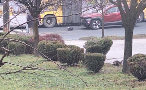 Nesreća u Sarajevu: Sudarili se autobus i putničko vozilo