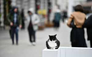 Jutros minusi diljem BiH: Objavljena prognoza do četvrtka - bit će i kiše i snijega i jakog vjetra