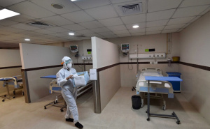 Tropska bolest se širi Europom uslijed klimatskih promjena