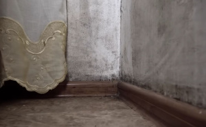 Njemačka metoda za uklanjanje plijesni: Saznajte šta je "šok ventilacija"