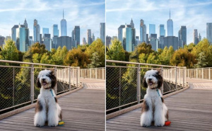 Imate dobar vid?: Pronađite razlike na ovim slikama za 60 sekundi