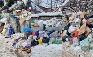 Nije potrebna dozvola: Iz Federacije BiH u prošloj godini izvezeno 44.600 tona otpada