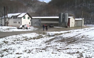 Vapaj peradara u BiH: Industrija polako nestaje, podrška vlasti izostaje