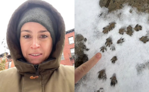 Stanovnica New Yorka u nevjerici: "Pacovi vladaju ovim gradom"