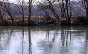 Nakon prevrtanja čamca na granici BiH i Hrvatske uhapšen naš državljanin
