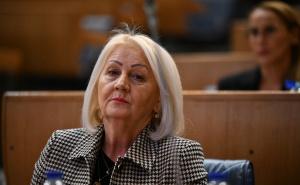 Apel Borjani Krišto: "Hitno zaštitite domaću proizvodnju čelika"