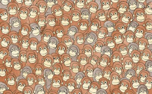 Majmun Punch je osvojio srca ljudi: Možete li ga pronaći među plišanim orangutanima?