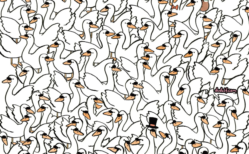 Jutarnje razgibavanje moždanih vijuga: Možete li pronaći tri srca među labudovima?