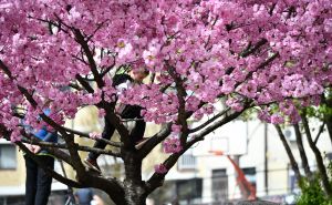 Stiže topliji period? Danas "udara" drugo džemre i prema vjerovanju mijenja sve