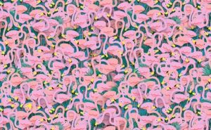 Mozgalica za strpljive: Možete li pronaći balerinu među flamingosima?