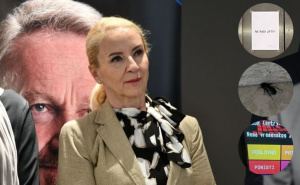 Izetbegović odgovorila Pilavu i objavila fotografije na kojima su uređaji koji ne rade i - žohar