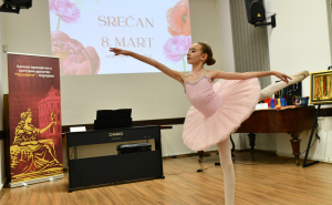 Klub žena Mis Irbi i SPKD Prosvjeta organiziralo Druženje i obilježili Dan žena 8. mart