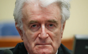 Mini-feljton | Prof. dr. Roko Markovina: Kada je Karadžić BiH nudio "švajcarski model" (VIII)