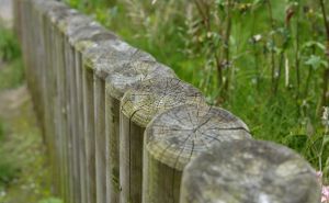 Učinite proces farbanja ograde lakšim: Ovo je najbolja metoda